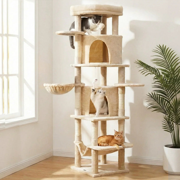 Cats