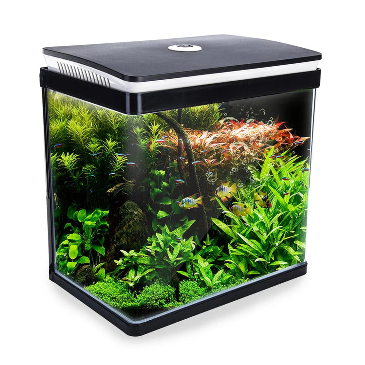 Aquarium