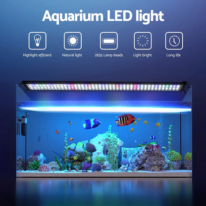 Aquarium LED light illuminating a fish tank with colorful fish and coral decorations