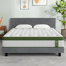 Queen size mattress with green trim on modern bed frame in stylish bedroom setting