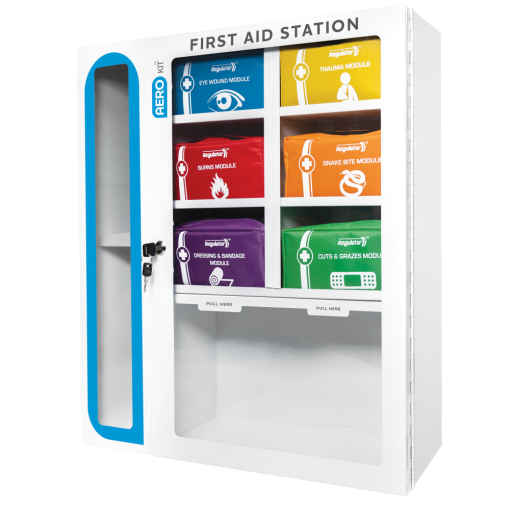 Wall-mounted first aid station with colored emergency medical supply modules