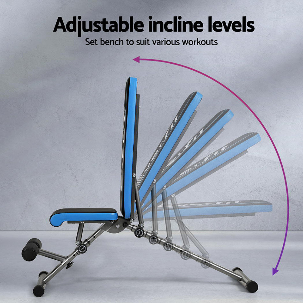 Blue adjustable workout bench with multiple incline levels for home gym exercises