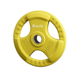 Yellow 20kg Everfit tri-grip weight plate for gym and strength training equipment