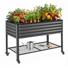 Green Fingers Mobile Raised Garden Bed 81cm Wheels Shelf Charcoal