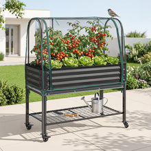 Green Fingers mobile raised garden bed in charcoal with a zipped mesh net cover over an arch frame