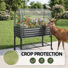 Elevated garden bed measuring 115cm x 60cm x 140cm overall with an 81cm stand-up bed height