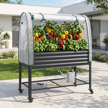 Green Fingers mobile raised garden bed in charcoal with a zipped PE greenhouse cover over an arch frame