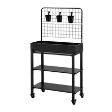 Raised garden bed with a vertical trellis for climbing vine plants