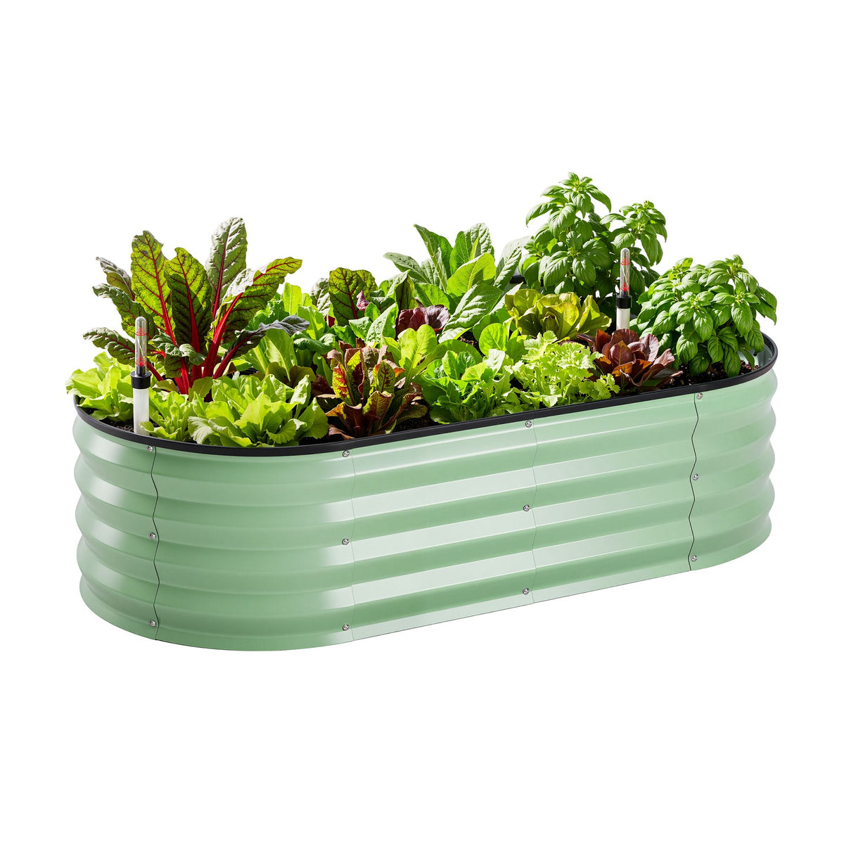 Self watering planter for growing herbs, vegetables and flowers