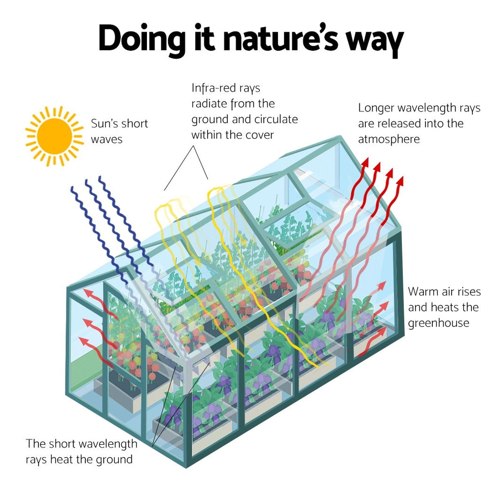 Green Fingers greenhouse lockable hinged door, 61.5 x 160cm
