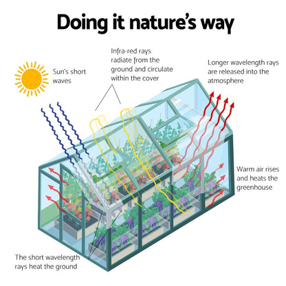 Green Fingers greenhouse lockable hinged door, 61.5 x 160cm