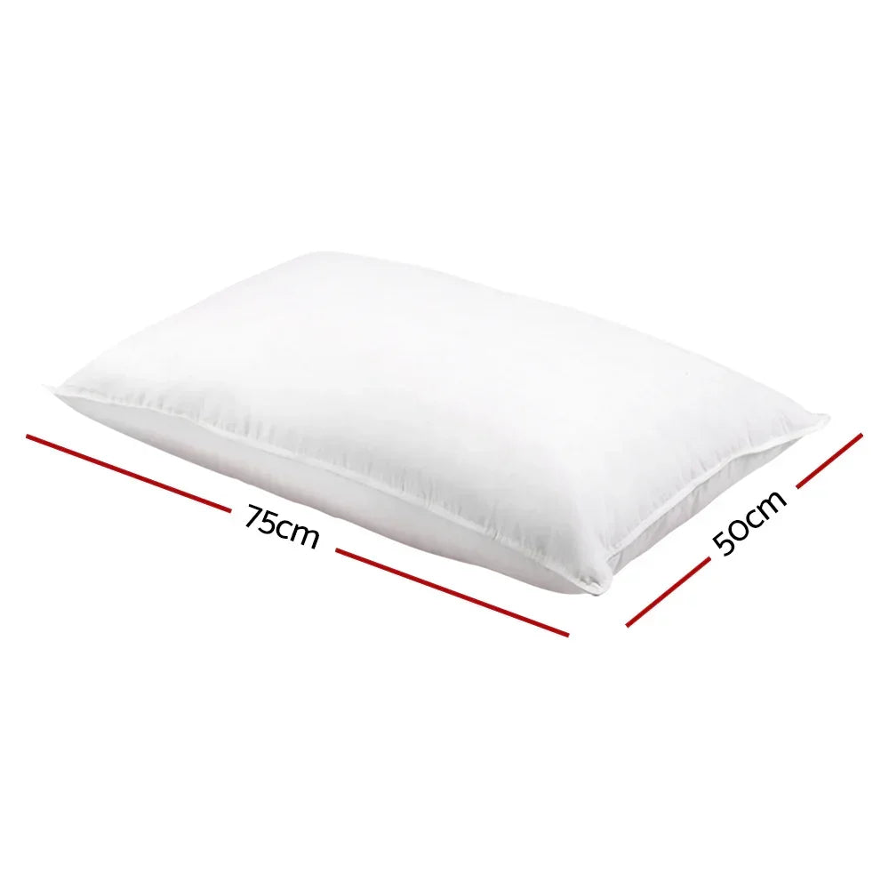 Giselle Bedding Goose Feather Down Pillow Twin Pack - Stacks Warehouse
