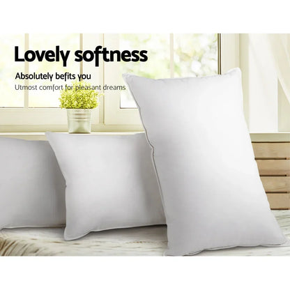 Giselle Bedding Goose Feather Down Pillow Twin Pack - Stacks Warehouse