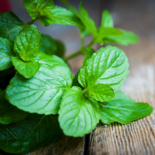 Peppermint Essential Oil