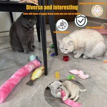 14-Piece Interactive Cat Toy Set - Catnip Fish & Variety Pack