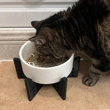 Elevator Pet Bowl, Neck Support Food Bowl, Easy to Clean (Elevator Cat Bowl), Black and White