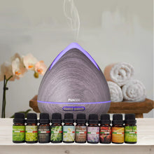 Purespa Diffuser Set With 10 Pack Diffuser Oils Humidifier Aromatherapy - Violet - Stacks Warehouse