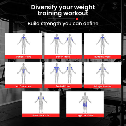 Weight training workout guide showing muscle groups for upright rows, bench press, ab crunches, and more