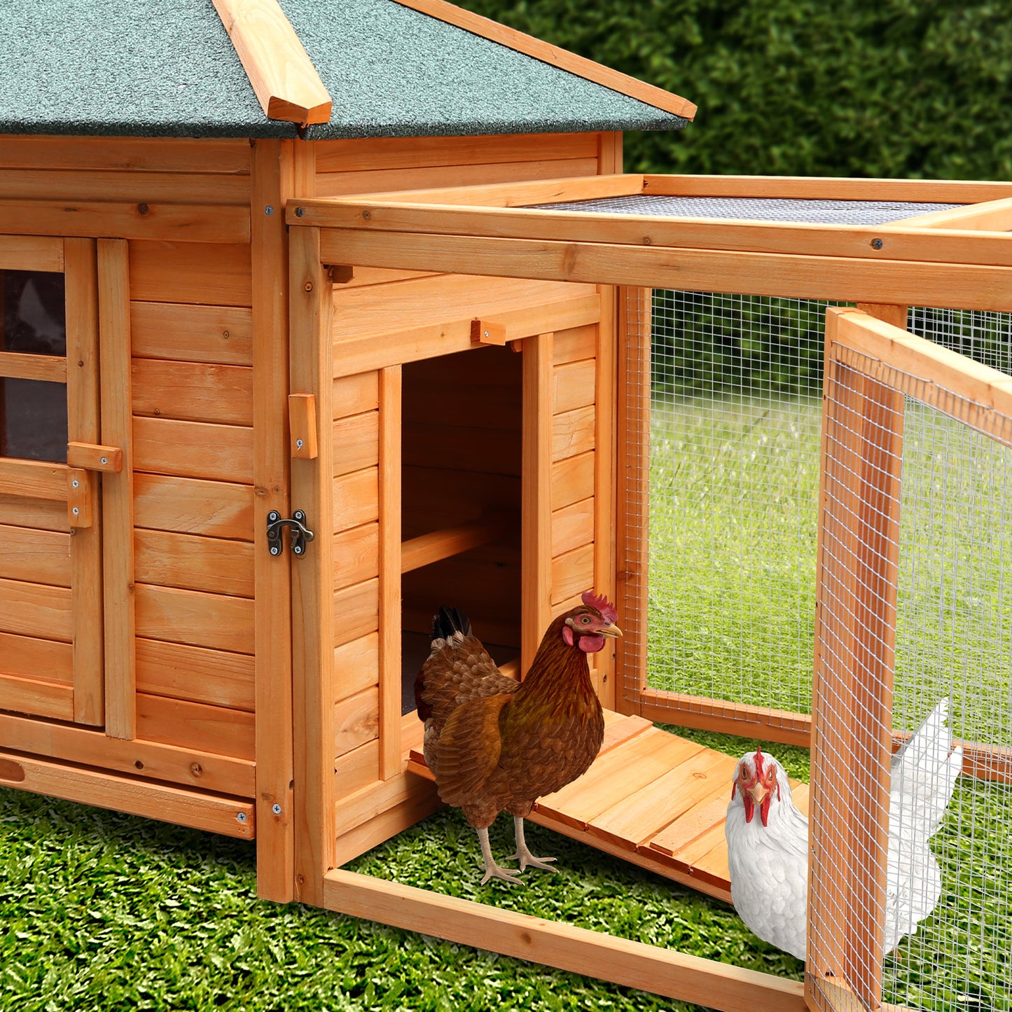 Wooden chicken coop with run, featuring two hens, green roof, and wire mesh enclosure on grass