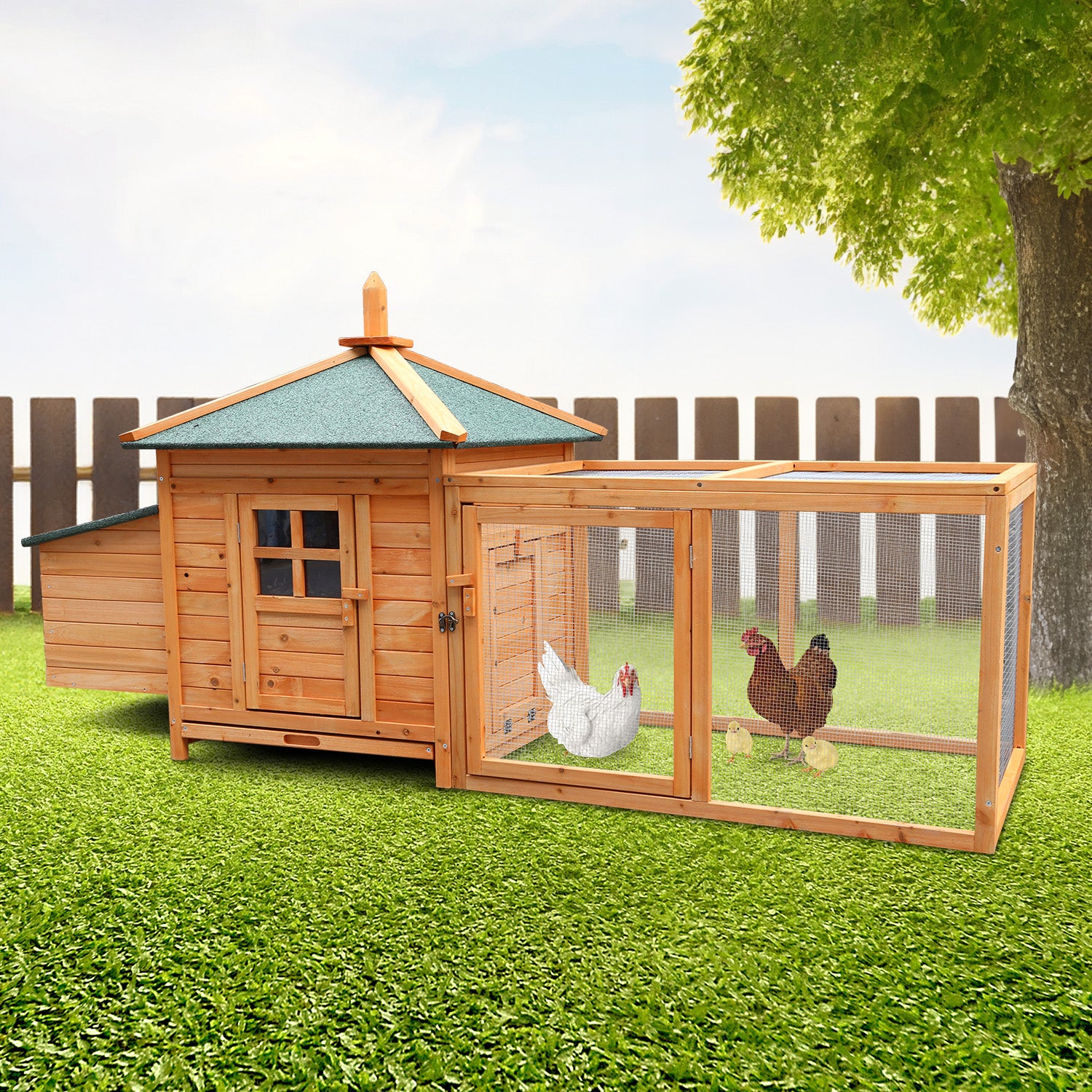 Wooden chicken coop with run, housing hens and chicks in backyard setting