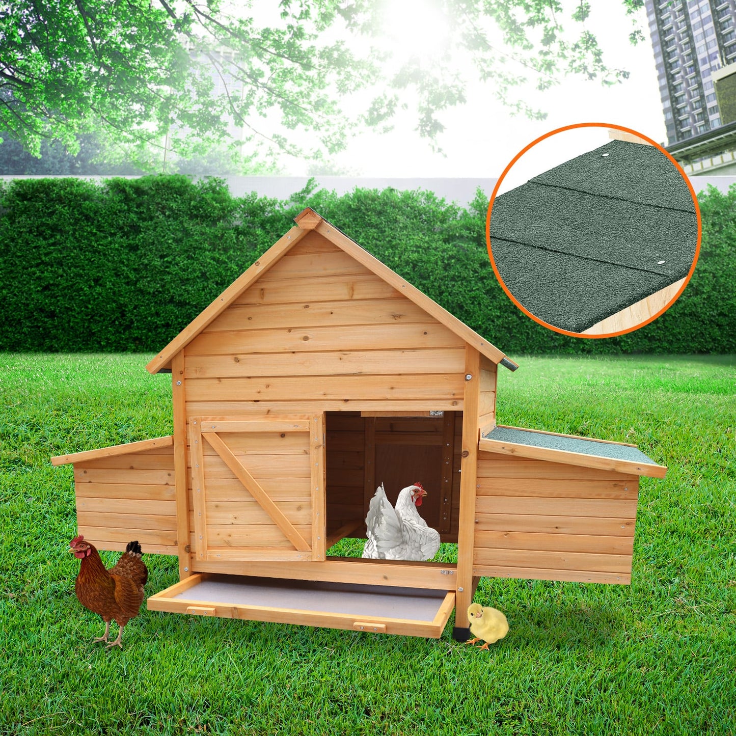 Wooden chicken coop with green roof, hens and chick in backyard, ideal for backyard poultry keeping
