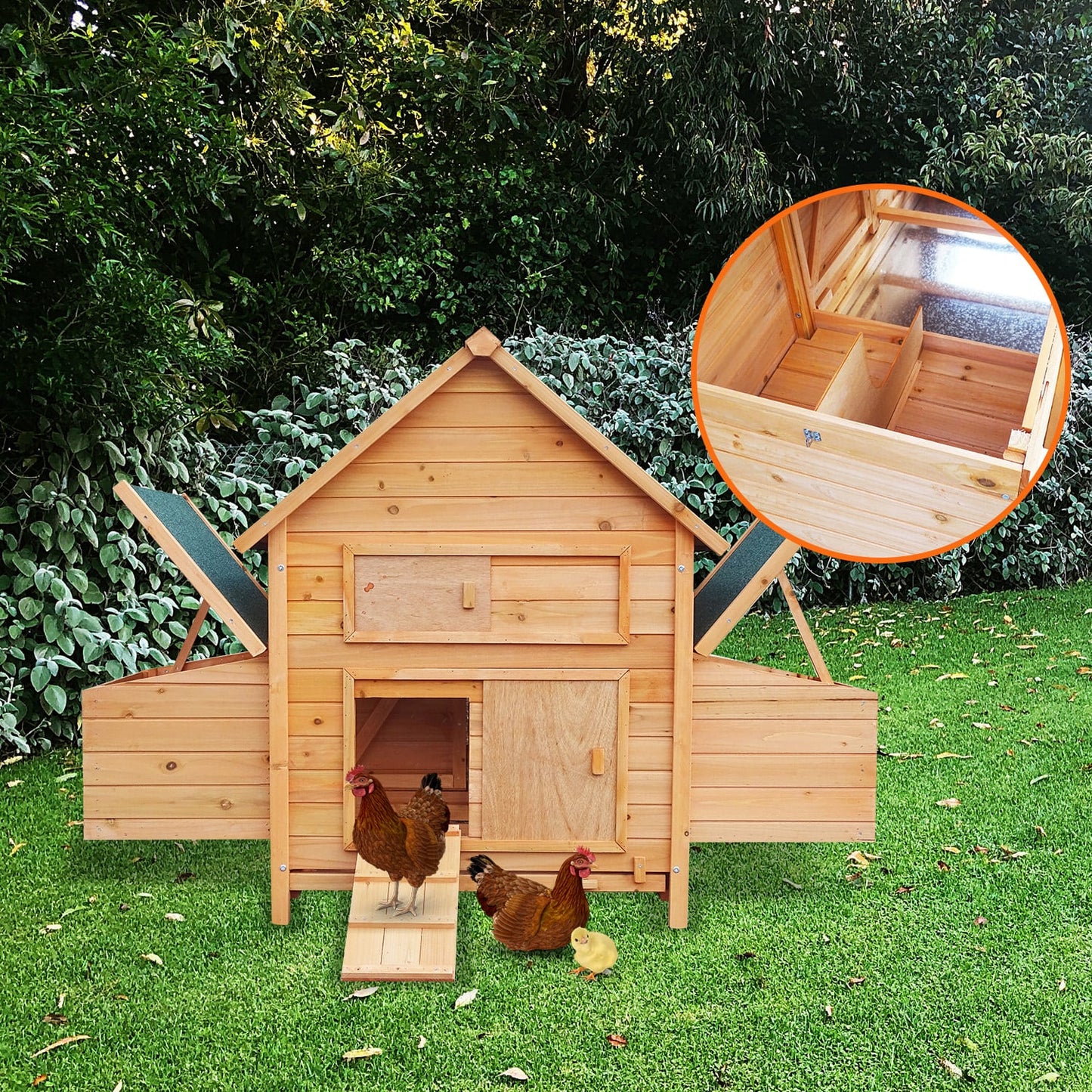 Wooden chicken coop with nesting boxes, ramp, and hens in backyard garden