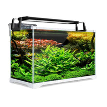 Aquarium Fish Tank 39L Starfire Glass 50x25x34cm Filter Pump LED