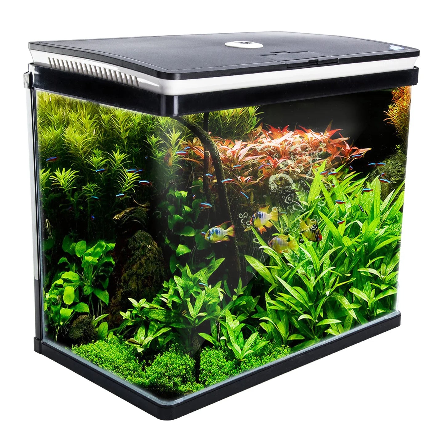 Aquarium Fish Tank 52L Curved Glass RGB LED Filter Pump 50x30x45cm
