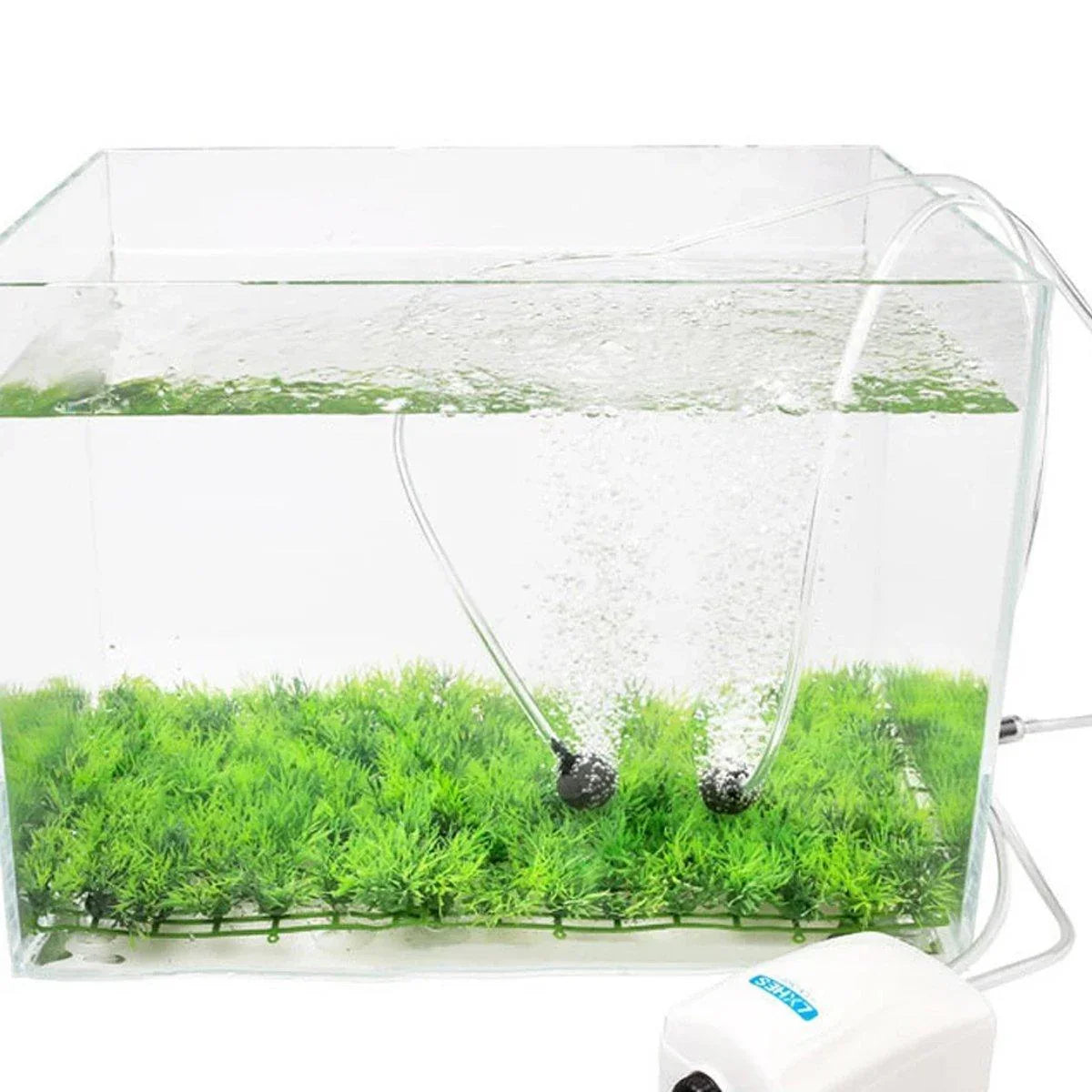 Aquarium CO2 diffuser kit with clear tubes and air pump in a planted fish tank