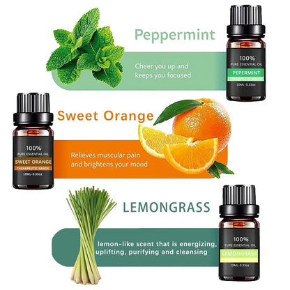 Essential Oil Set 6 Bottles Plant Aromatherapy Oils Natural Scent for Diffuser