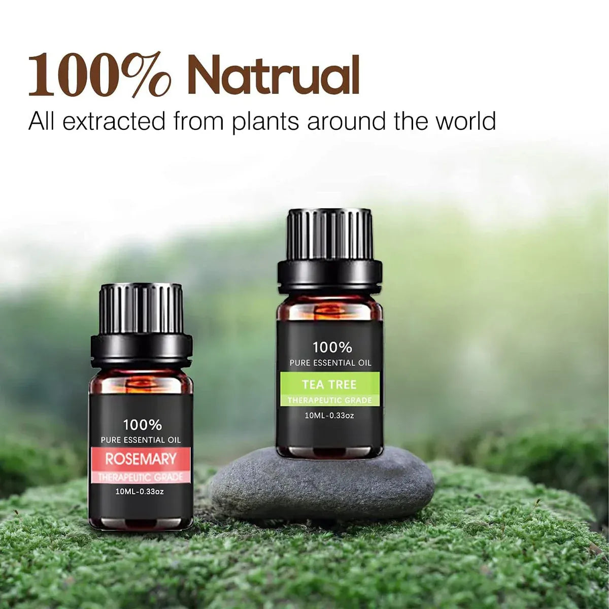 Essential Oil Set 6 Bottles Plant Aromatherapy Oils Natural Scent for Diffuser