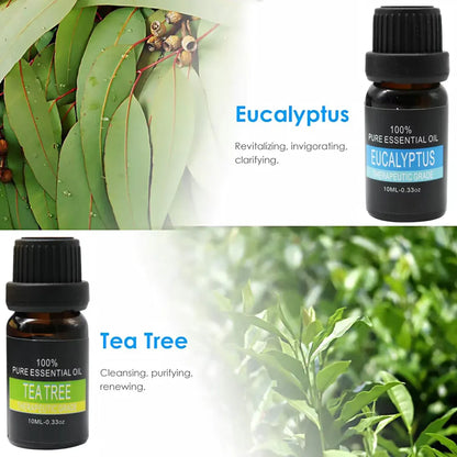 Essential Oil Set 6 Bottles Plant Aromatherapy Oils Natural Scent for Diffuser