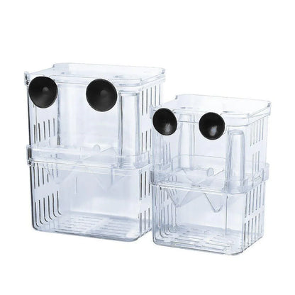 Two transparent plastic fish breeding boxes with black suction cups for aquarium use
