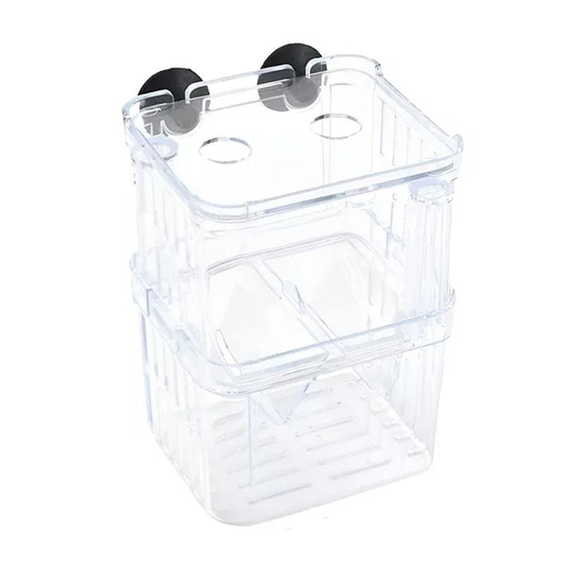 Clear plastic fish hatching box with suction cups and ventilation holes for aquariums