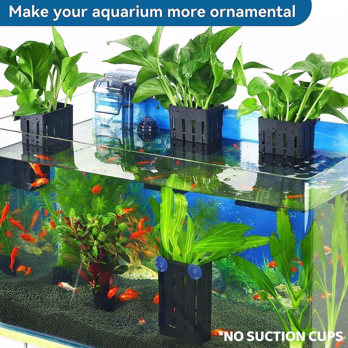 Aquarium with floating black plant holders and green aquatic plants, goldfish swimming below