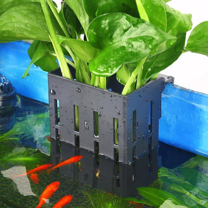 Aquarium with black plant holder, green aquatic plant, and swimming goldfish