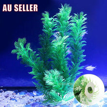 Aquarium Plant 30cm Artificial Water Grass Plastic Fish Tank Decor