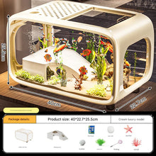 Desktop Aquarium 40cm Turtle Tank Panoramic Basking Platform Cream