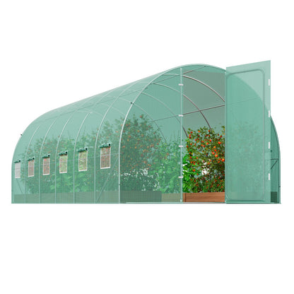 Walk-in tunnel greenhouse interior with 2.25m headroom