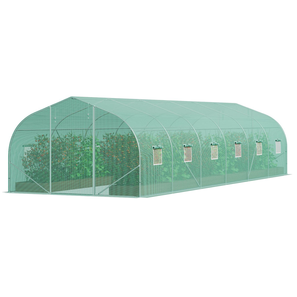 Walk-in tunnel greenhouse interior with room for plant shelving