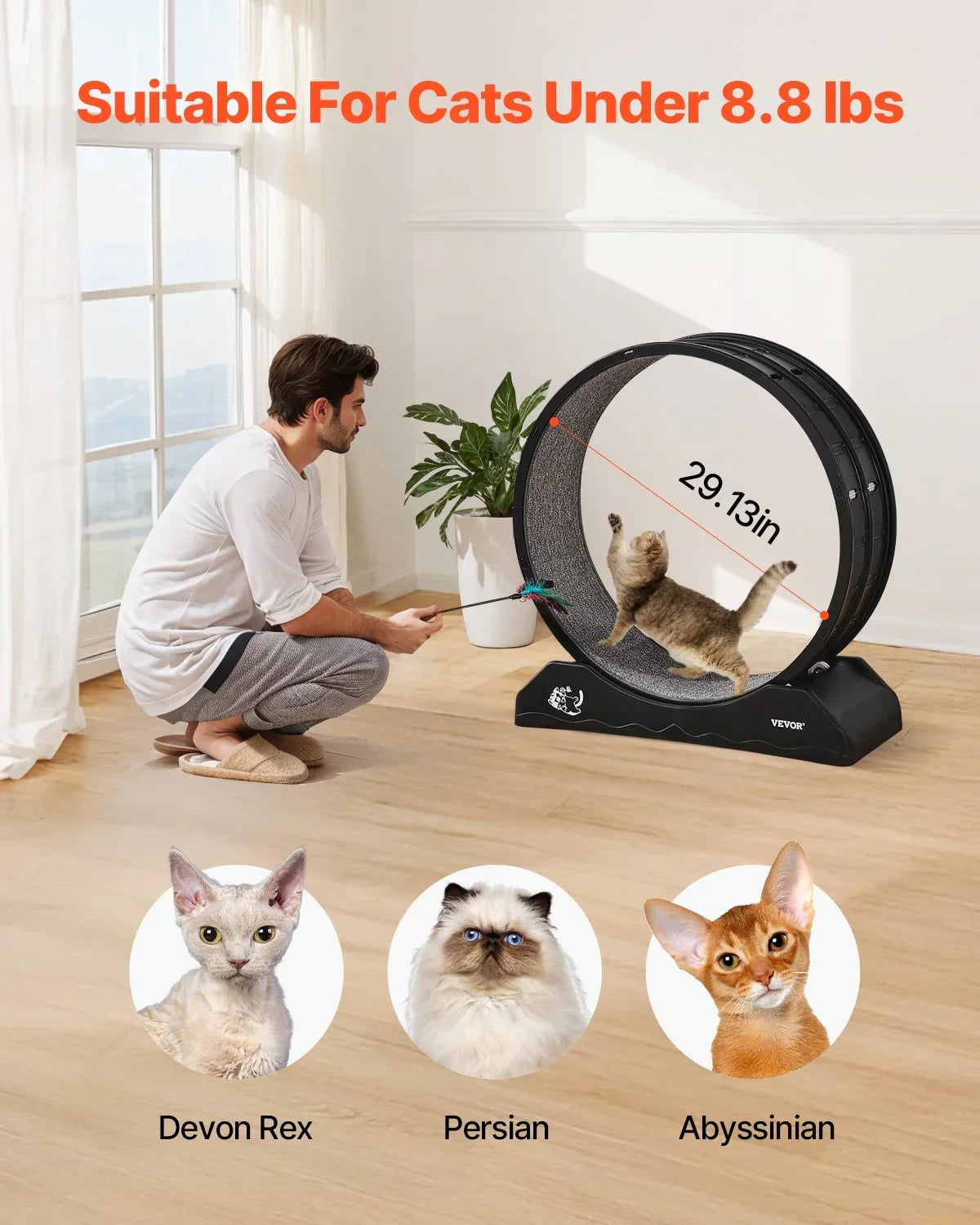 VEVOR 31.5" Cat Exercise Wheel - Large Running Wheel with Brake
